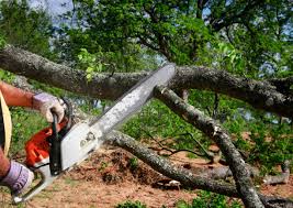 Best Lot and Land Clearing  in Woodbury Heights, NJ
